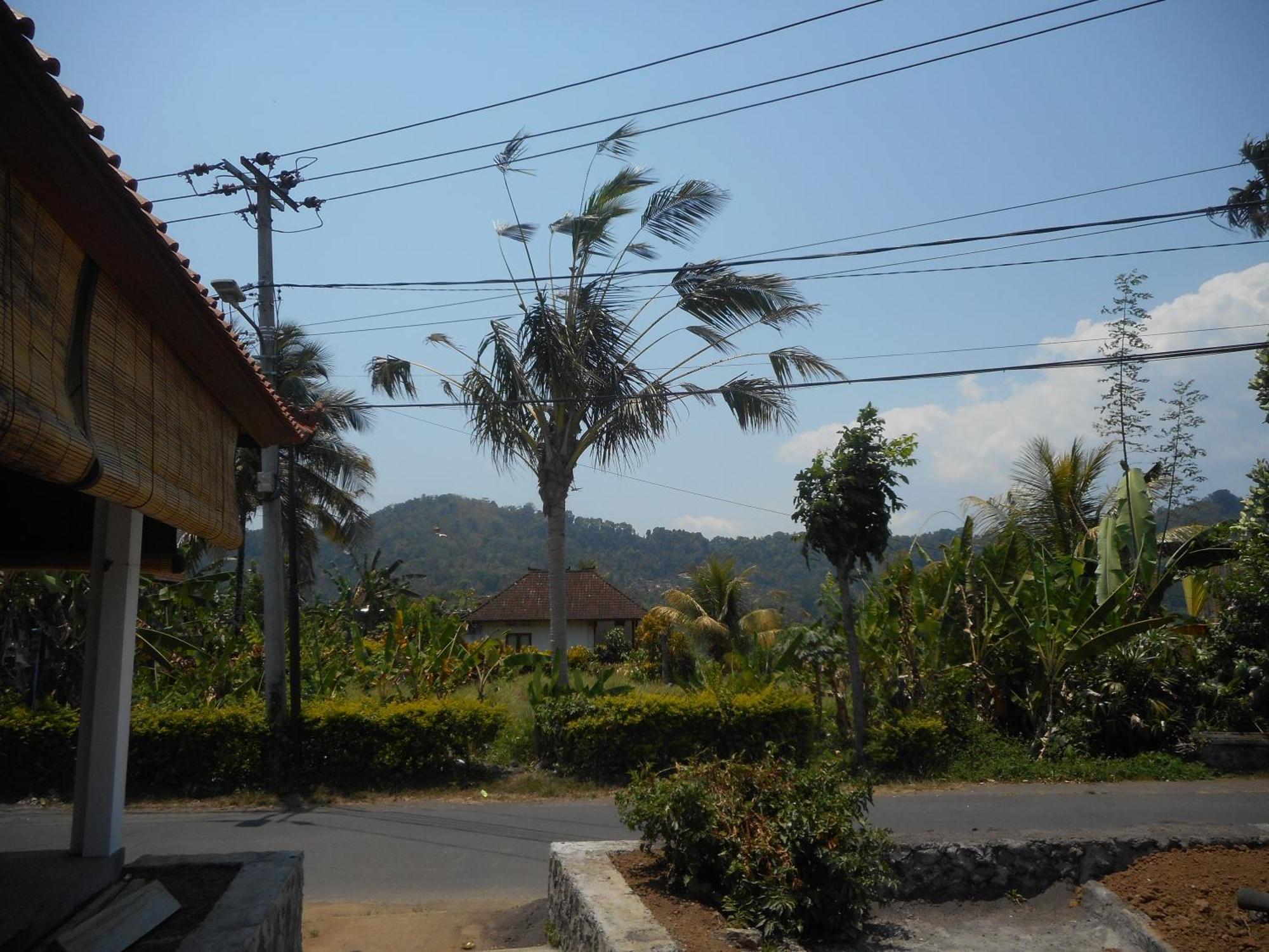 Lila Stana - Sidemen Homestay Buitenkant foto