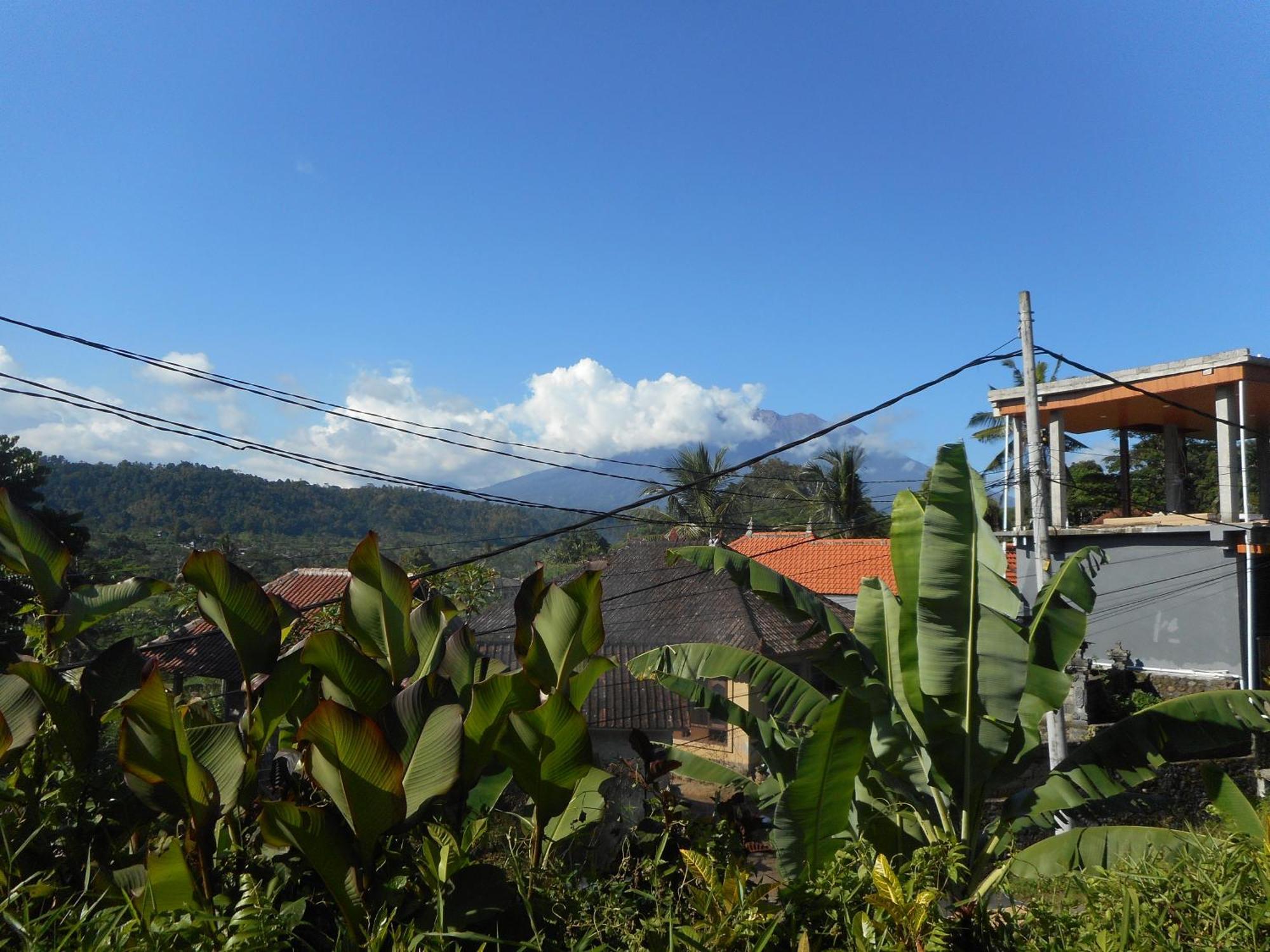 Lila Stana - Sidemen Homestay Buitenkant foto