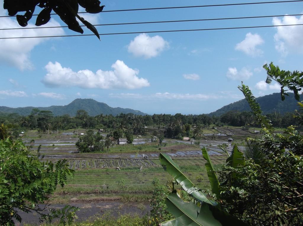 Lila Stana - Sidemen Homestay Buitenkant foto